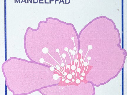 23-03-13 12-33-06 4849